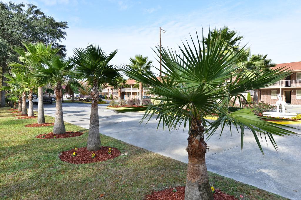 Savannah Inn And Suites Savannah Port Area สิ่งอำนวยความสะดวก รูปภาพ